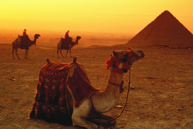 Sunrise or Sunset Camel Ride Around the Giza Pyramids Desert - Essential Exclusions to Consider