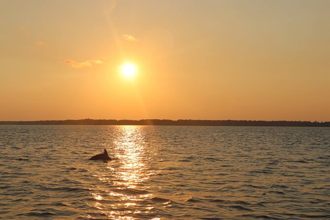 Sunset Dolphin Cruise in Hilton Head - Frequently Asked Questions