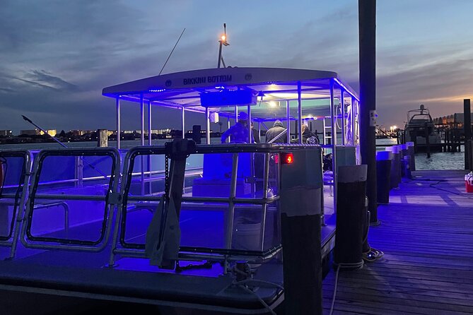 Sunset Dolphin Excursion - Positive Guest Feedback