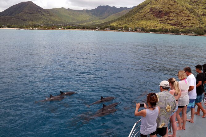 Sunset Dolphin Watch Cruise Review - Guests Experiences