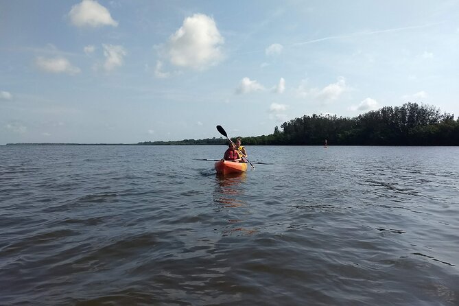 Sunset Kayaking Tour at Manatee Cove With Manatee & Dolphin Sightings - Memorable Experiences