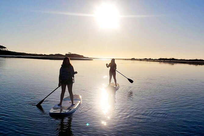 SUP (Stand-Up Paddboard) Salt Marsh Maze Tour - Experience Highlights