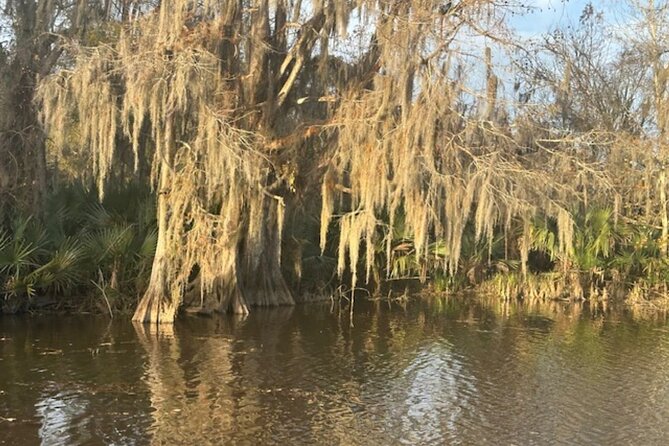Swamp Eco-Cruise and Walking Tour Review - Packing Essentials and Tips