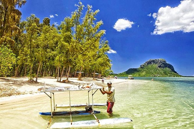 Swim With Wild Dolphins & Benitiers Island With Lunch & Transport - Participant Guidelines