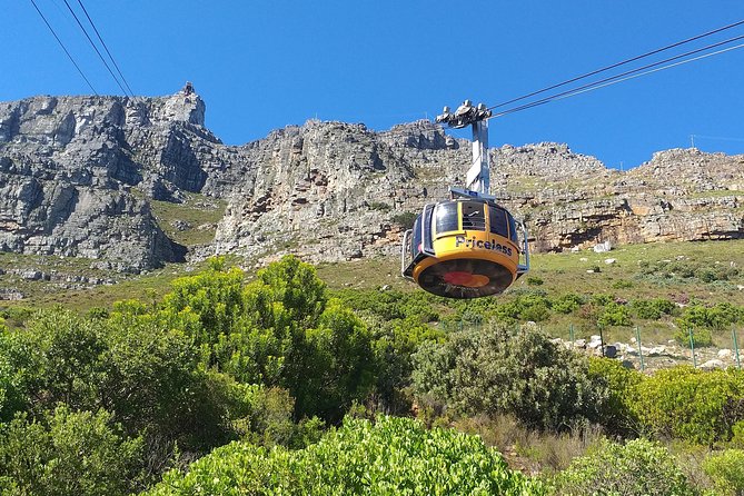 Table Mountain, Penguins, Cape of Good Hope and Stellenbosch Tour - Included Amenities