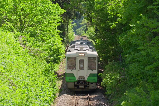 Tadami Line Tour and Private Boat Night Tour of Mugenkyo Ravine - Highlights of the Night Tour