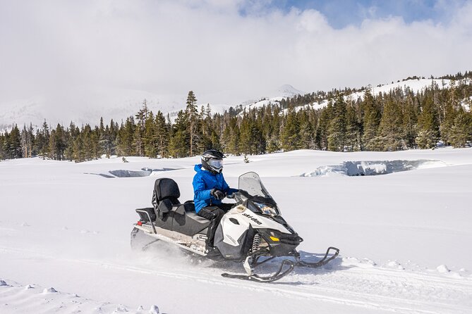 Tahoe Snowmobiling Tours Review: Fun Adventure Awaits - Recommendations and Tips