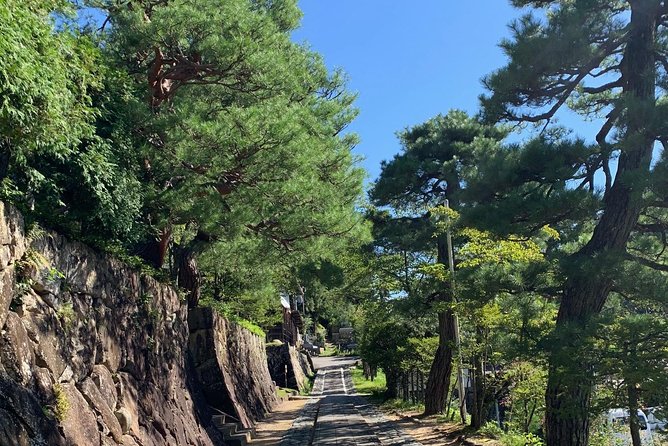 Takayama & Shirakawago 3 Days Tour - Special Lunch Experiences