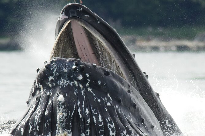 Tales & Tides: Alaskan Lore Cruise Review - Alaskan Lore and History