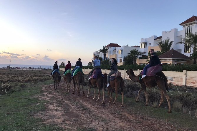 Tangier Private Tour & Camel Ride (Sightseeing & Walking Tour) - Booking Details and Pricing