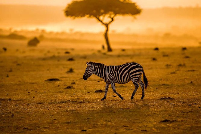 Tanzania Family Holiday; 8-Days Lodge Safari - Pickup and Meeting Points