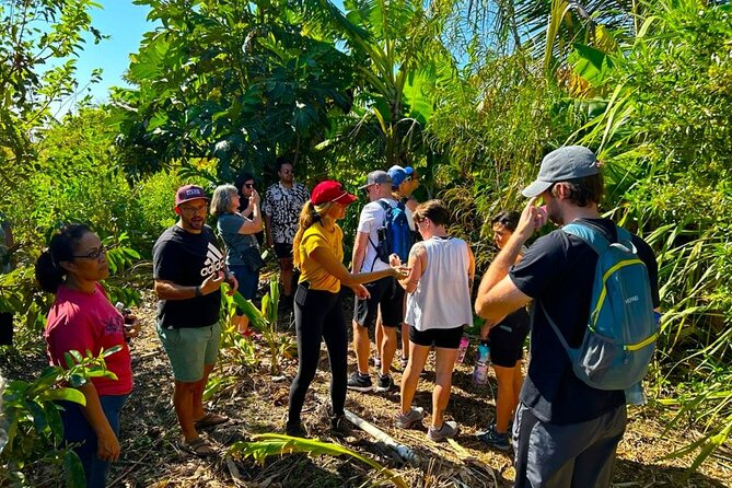 Taste of Hawaii: A Maui Farm Tour - Recommendations and Additional Info