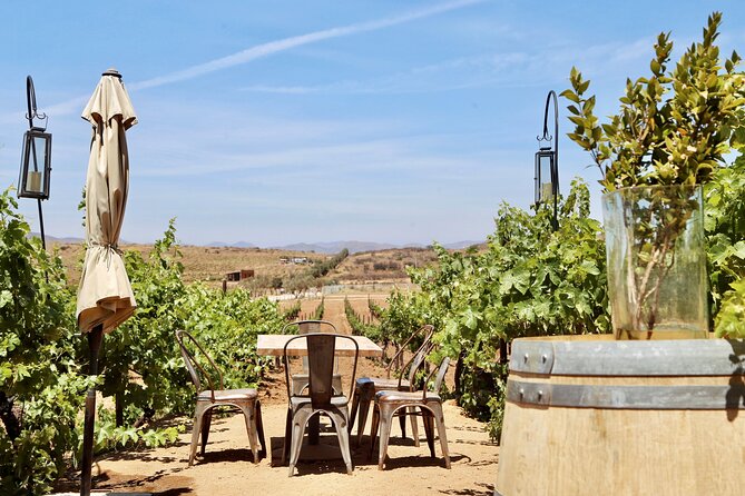 Tasting and Tour Through the Vineyard - What to Expect
