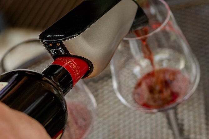 Tasting of Valpolicella and Amarone Wines Near Fumane - Starter and Alcoholic Beverages