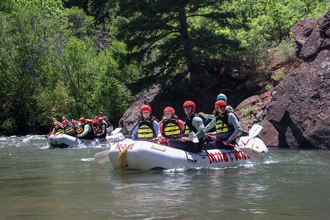 Telluride Afternoon Half-Day Rafting Tour on the San Miguel River - Gear and Safety Considerations