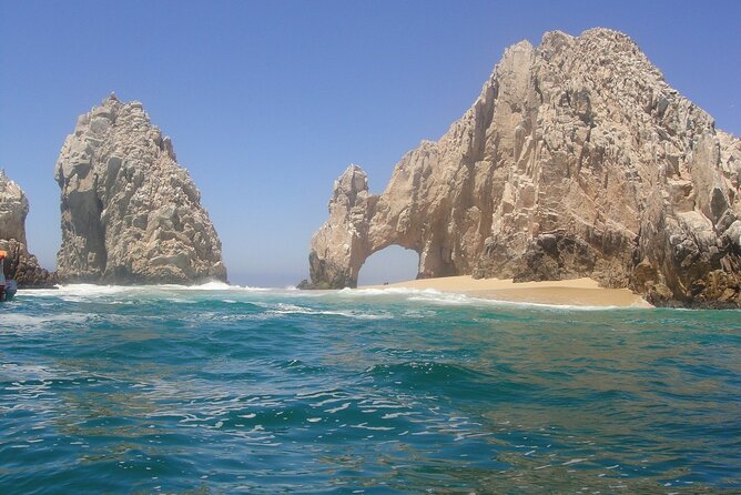 The Arch of Los Cabos Glass-Bottom Boat Tour - Customer Experiences and Reviews