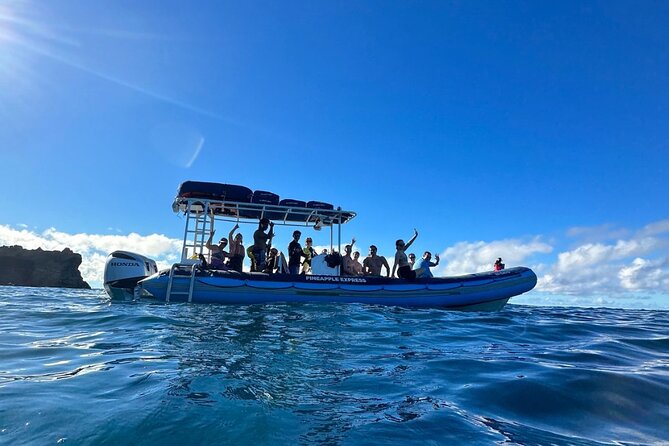 The Best 2.5 Hour Molokini Snorkel Tour & Whale Watch - Accessibility and Restrictions