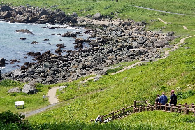 The Best Morning and Michinoku Shiokaze Trail Trekking in the Tanesashi Coast Natural Grassland - Highlights of the Morning Adventure