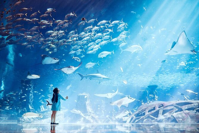 The Lost Chambers Aquarium - Visitor Reviews and Ratings