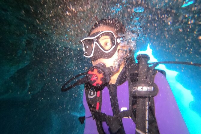 The Original Tiger Shark Challenge - Pricing and Booking Information