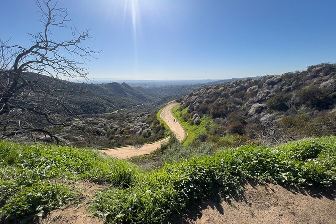 The Premier Hollywood Sign Tour: Nature in the Heart of the City - Learning About Los Angeles History