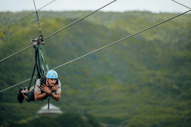 The Signature Zipline (1 Line-1.5km) - La Vallée Des Couleurs - Health and Safety Considerations