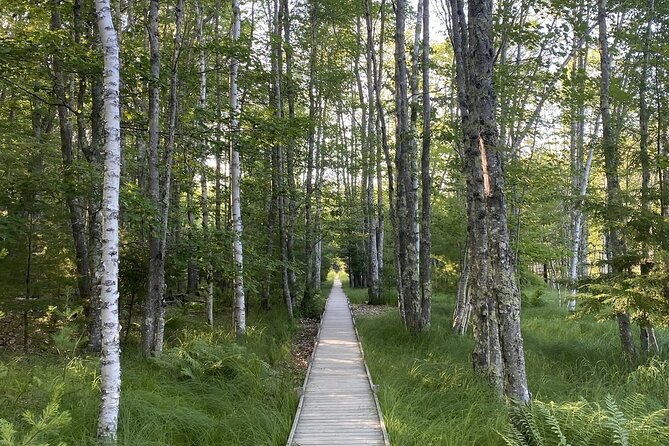 The Way Life Should Be: 4-hr, Private Guided Tour of Acadia NP. - Customer Feedback and Reviews