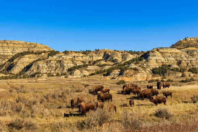 Theodore Roosevelt National Park Self-Guided Driving Audio Tour - Park Highlights and Natural Wonders