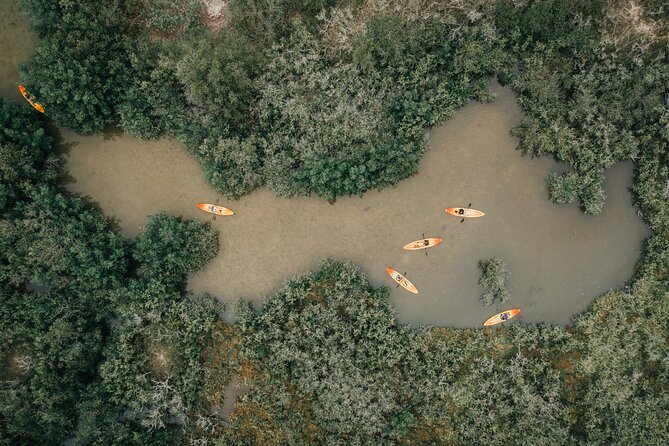 Thousand Islands Mangrove Tunnel Kayak Tour With Cocoa Kayaking! - Provided Equipment and Safety