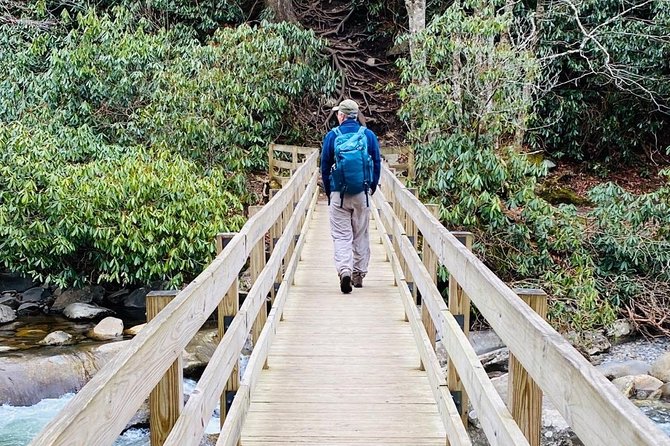 Thundering Streams and Falls of the Smokies Guided Hiking Tour - Customer Feedback