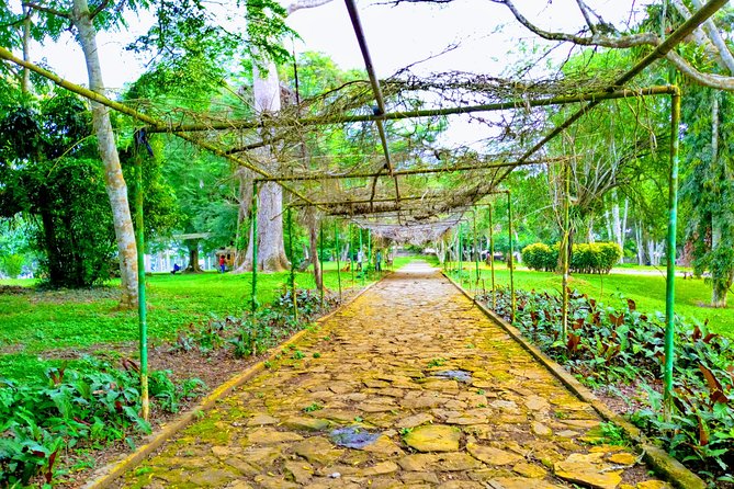 Time With Nature - Traveler Experiences and Reviews