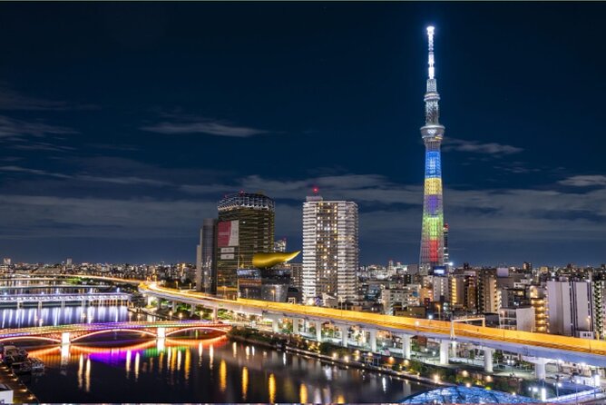 Tokyo City Tour by Private Car & English Guide - Traveler Reviews and Feedback