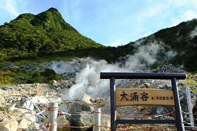 Tokyo: Hakone Fuji Day Tour W/ Cruise, Cable Car, Volcano - Customer Reviews and Feedback