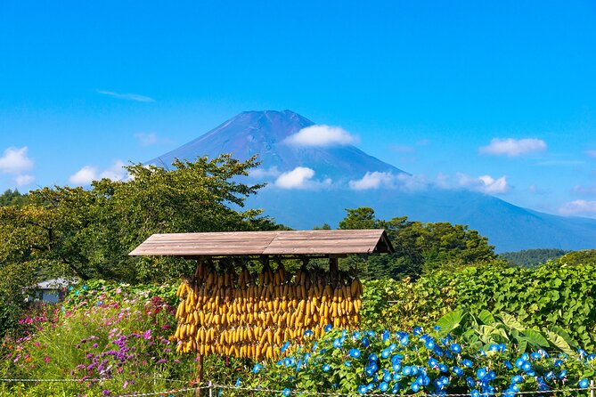 Tokyo Hakone:Mt.Fuji, Owakudani, Oshino Hakkai or Open Air Museum - Meeting Points and Itinerary
