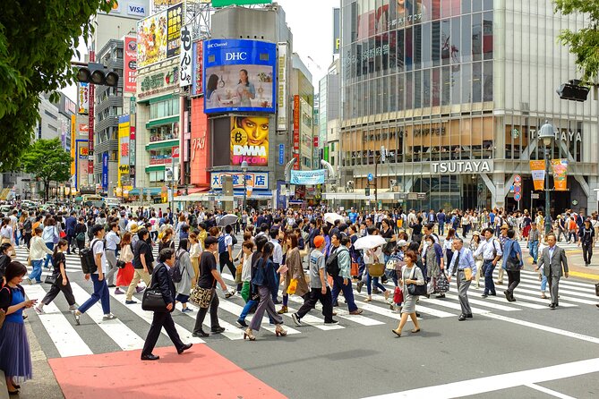 Tokyo Half-day Customized Private Tour - Booking and Reviews