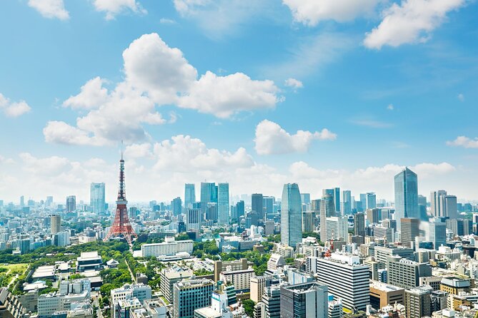 Tokyo Helicopter Cruising - Passenger Requirements