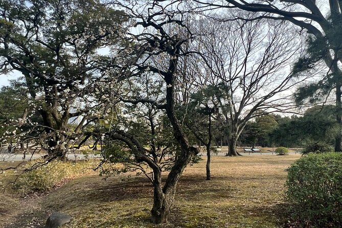 Tokyo: Japanese Garden Walking Tour With Tea and Sweets - Exploring the Shiodome District