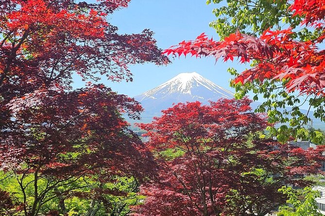 Tokyo: Mount Fuji One Day Private Tour by Car With English Guide - Customer Reviews