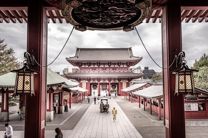 Tokyo Private Tour by Van With English Guide and Photography - Accessibility and Participation