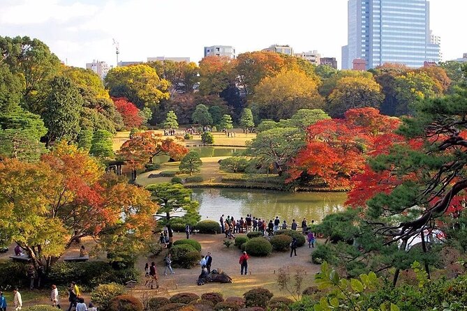 Tokyo Self-Guided Audio Tour - Customer Support and Experience
