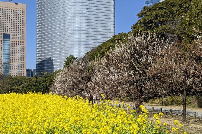 Tokyo Tsukiji & Hamarikyu Gardens Wellness Tour – Walk and Relax - Tour Highlights and Inclusions