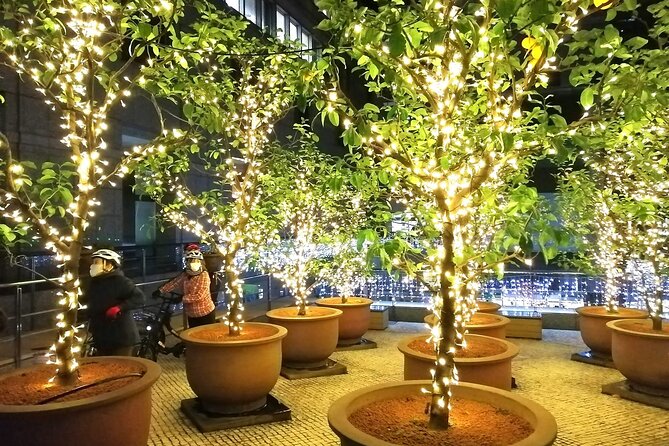Tokyo Winter Illumination Ebike Tour - Discovering Iconic Illumination Spots