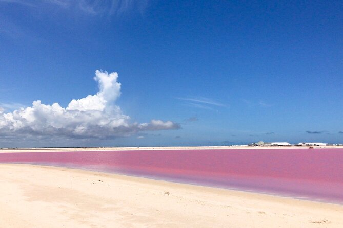 Tour Las Coloradas & Rio Lagartos Only From Tulum - Wildlife and Nature Highlights