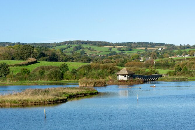 Tour of East Devon-Seaton Tram, Ladram Bay, Beer Village and More - Beer Village