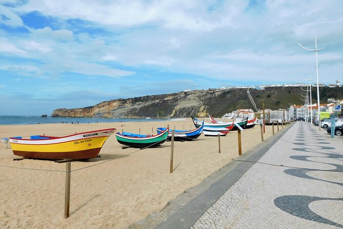 Tour Transfer From Lisbon Porto and Porto Lisbon - Cancellation Policy