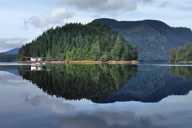 Traitors Cove Bear Viewing - Customer Reviews and Testimonials