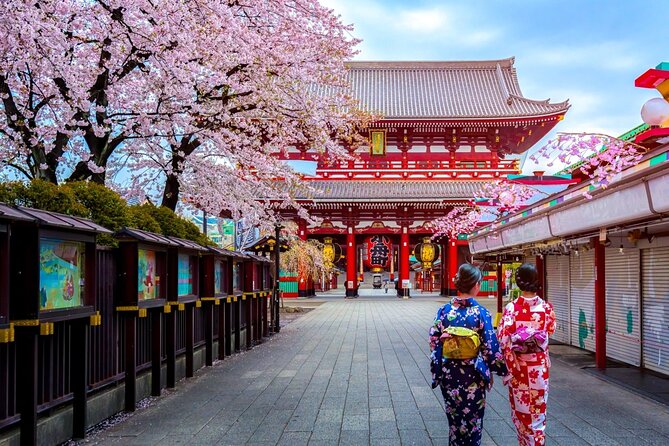 Transfer From Tokyo City Center to Haneda Airport (HND) - Booking and Confirmation Details