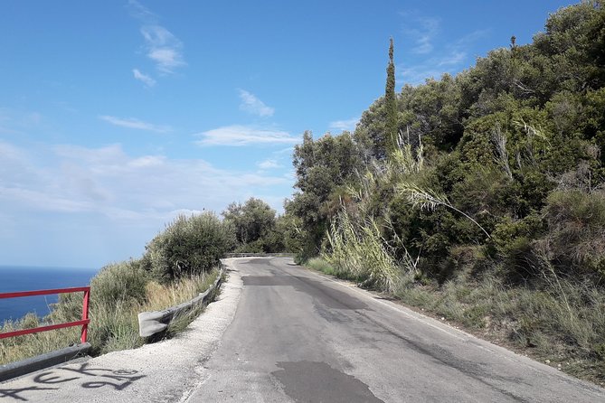 Transfer Service From Corfu to Delphi - Journey Details