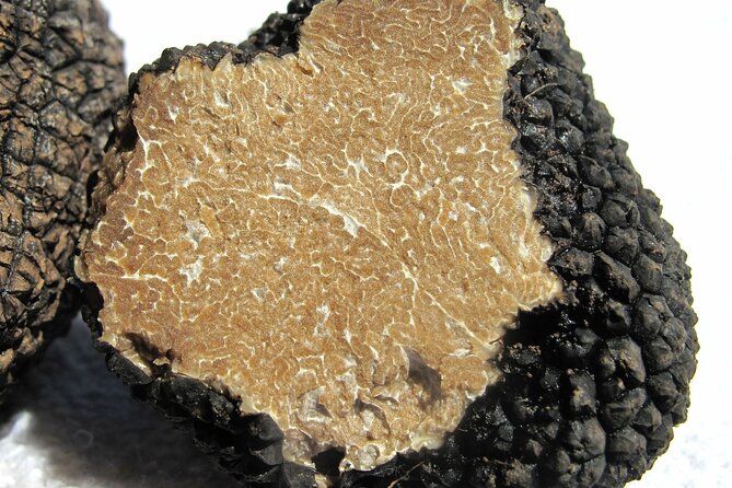 Truffle Hunting Umbria Including Truffle Breakfast - Truffle Tasting and Brunch Celebration