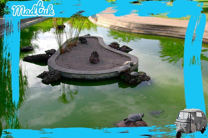 Tuk-Tuk Private Tour to Botanical Garden + Old Town Area - Customer Feedback